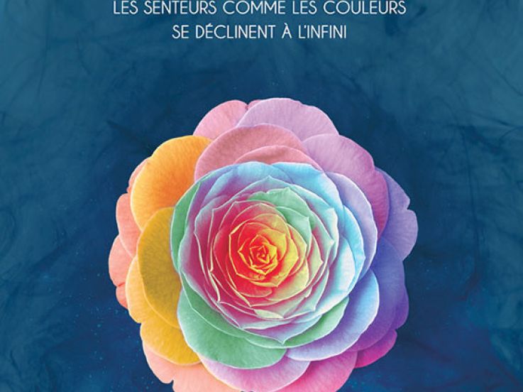 L'Odorat : un documentaire inédit de Kim Nguyen