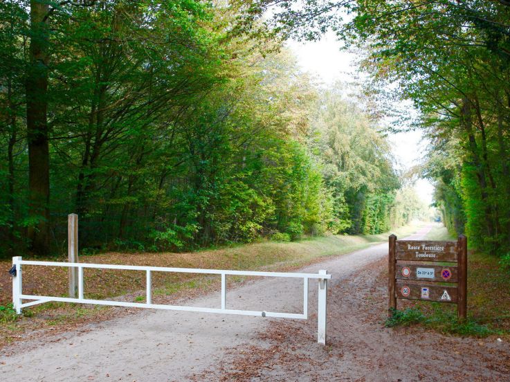 Le Marathon de Chantilly revient en 2017