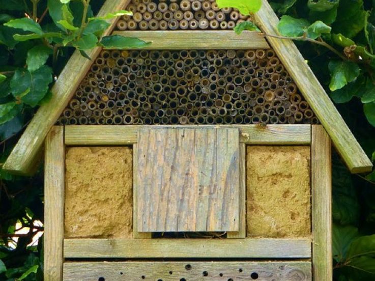 Pink Lady® au Salon de l'Agriculture : Gagnez vos places !