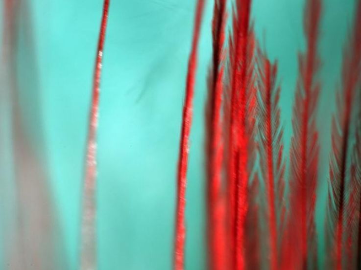 créateurs-Créatures