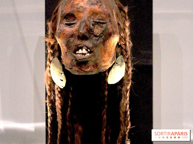 Carambolages au Grand Palais