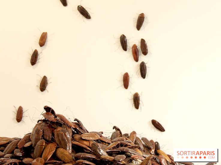 Céramix, l'exposition au Musée de la Céramique et à la Maison Rouge