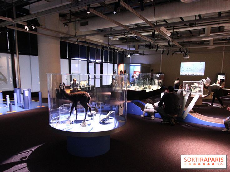 Exposition BéBés animaux à la Cité des Sciences, les photos