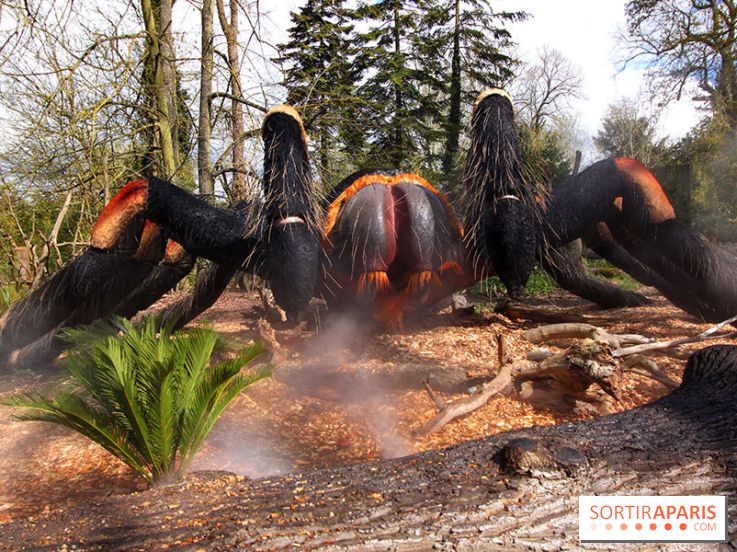 Le Labyrinthe de Thoiry