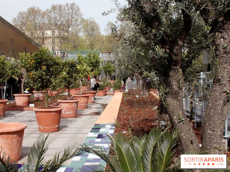 Jardin d'Orient à l'Institut du Monde Arabe