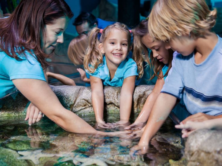 Aquarium Sea life offre 15% de réduction pour ses 15 ans