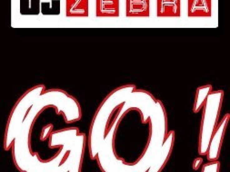 Soirée, Paris, Zebra, Elysée Montmartre, Bootleg, Mash up