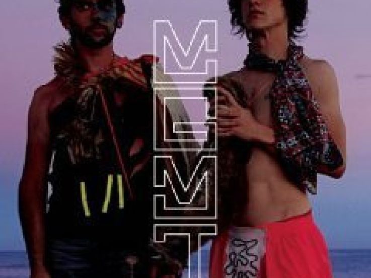 Concerts, Paris, Festival, Inrocks, iDTGV, MGMT, Franz Ferdinand, Ting Tings, Foals, CSS