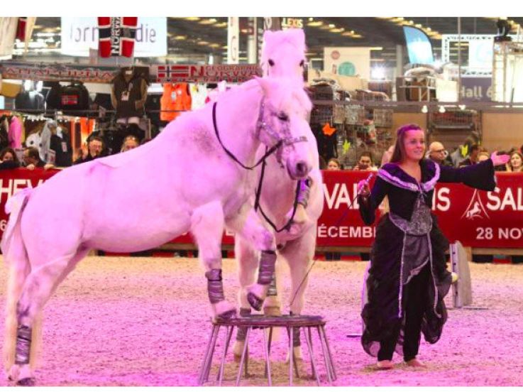 Concours Equi’Star au Salon du Cheval de Paris 2016