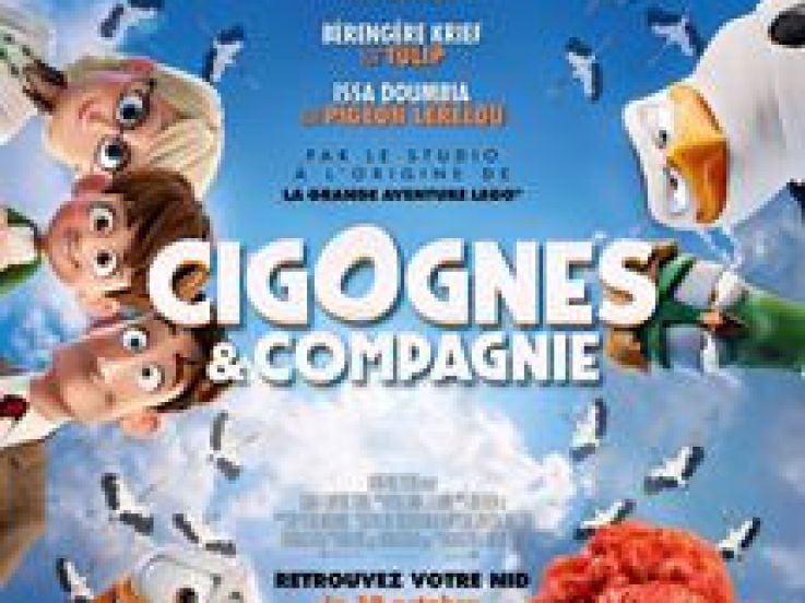 Cigognes et compagnie