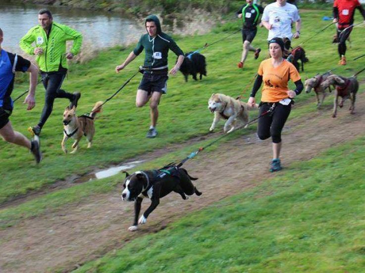 Canicross au Bois de Boulogne le 22 avril 2017