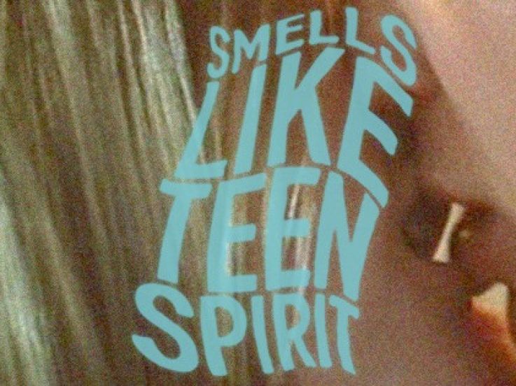 Smells Like Teen Spirit : le Teen Movie Festival