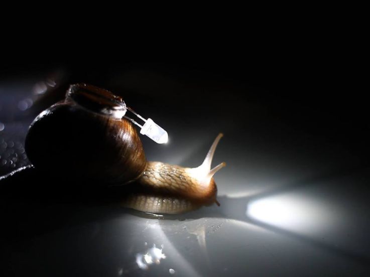 Exposition Les faits du hasard au Centquatre