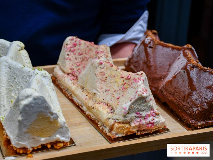 Bûches Glacées Reys Noel 2024