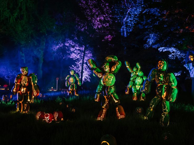 Sleepy Hollow Forest : une balade immersive et nocturne dans un jardin remarquable en région parisienne