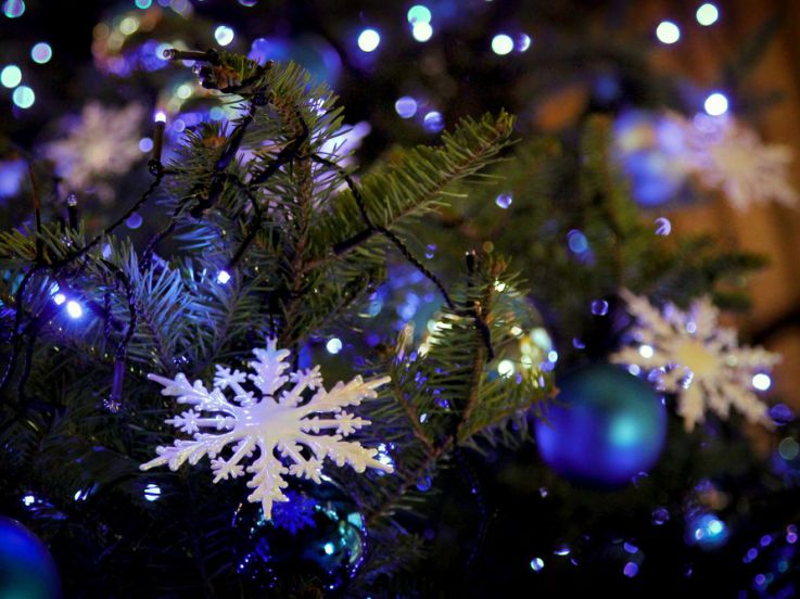 Noël 2025 : un atelier DIY pour créer sa propre fleur de Noël artisanal à Saint-Maure-des-Fossés (94)