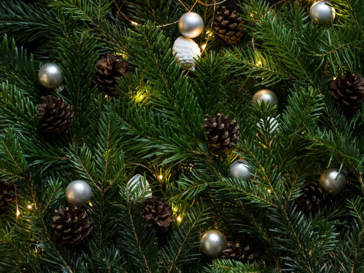 Un Noël 2025 féerique à Survilliers (95) : marché, patinoire et festivités pour toute la famille