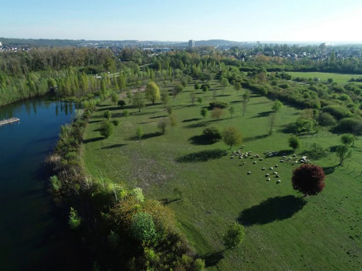 Rendez-Vous aux Jardins 2026 au parc de la Haute-Ile à Neuilly-sur-Marne