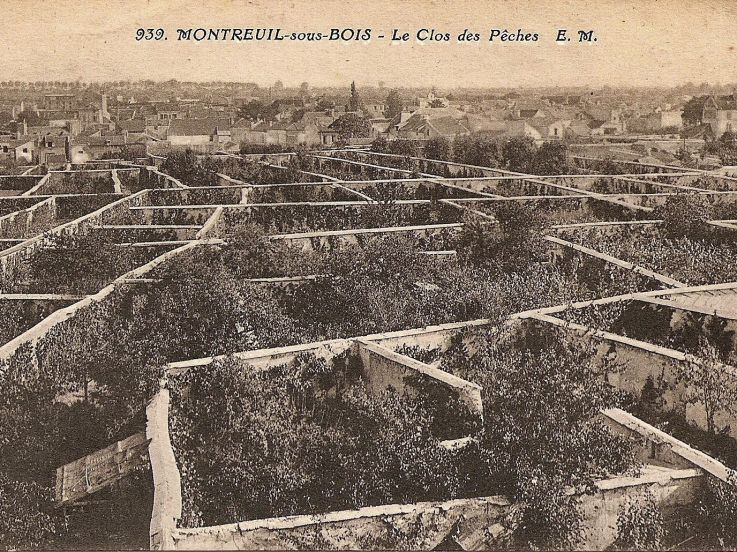 Connaissez-vous l'histoire des murs à pêches ? Voici pourquoi ce site est classé Jardin Remarquable