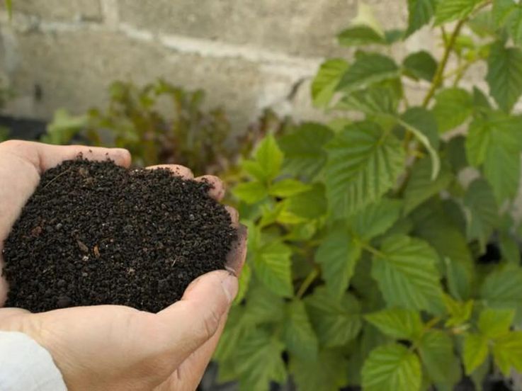 Dans cette serre située aux portes de Paris, un atelier jardinage pour les Rendez-Vous aux Jardins 2026