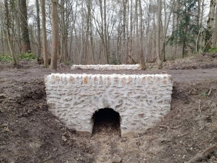 Bois de Chaville