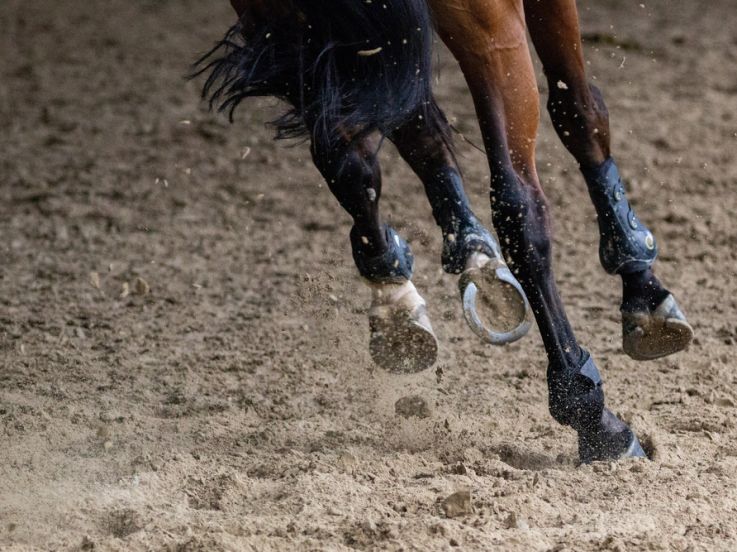 Les Dimanches Plaisirs de l'Hippodrome Paris-Vincennes : animations gratuites pour toute la famille
