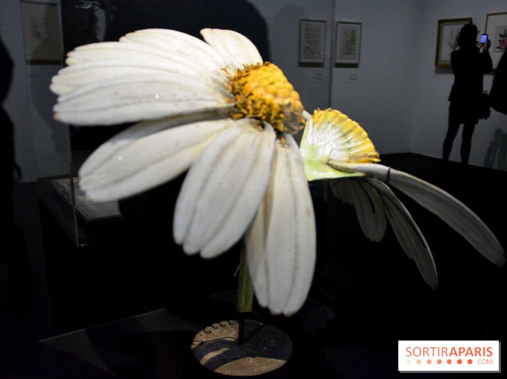 Exposition Jardins au Grand Palais