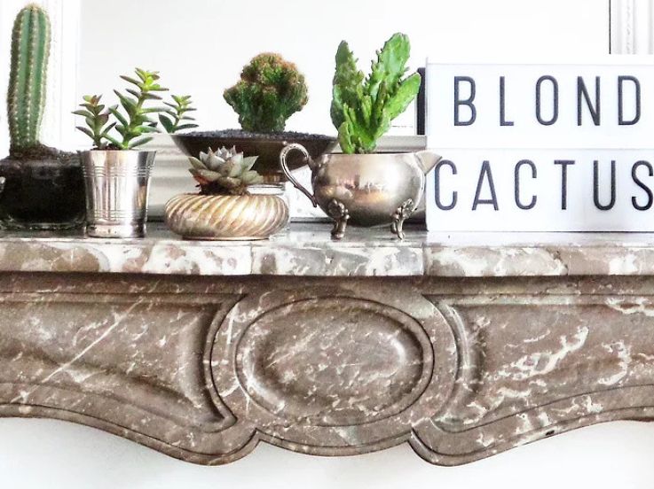 Atelier DIY The Blond Cactus au Super Shop