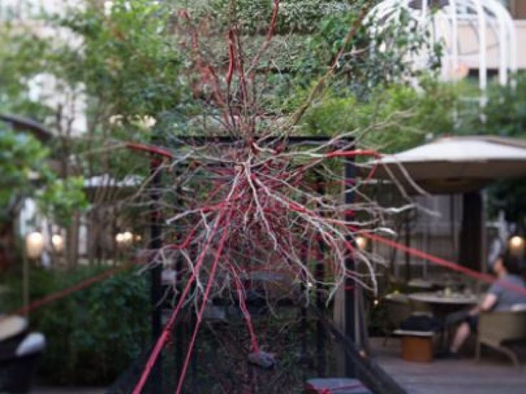 The Red Garden : installation artistique et cocktails éphémères au Mandarin Oriental