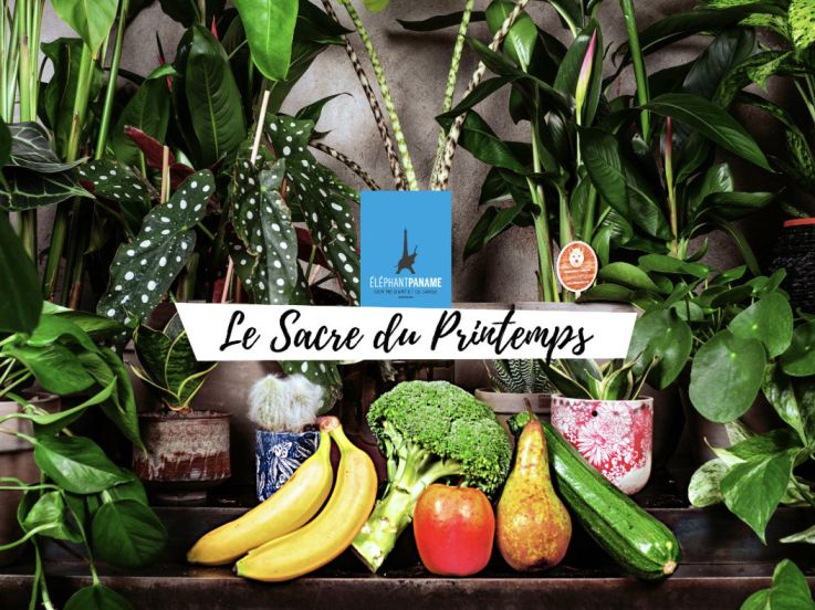 Le Sacre du Printemps : brunch et macramé à l'Eléphant de Paname