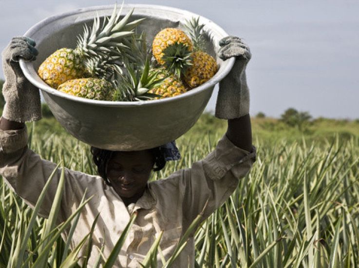 Le Village de l'Équitable au Parc de la Villette