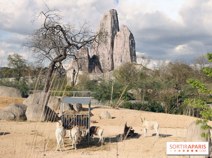 Zoo de Vincennes, Parc Zoologique de Paris 2017
