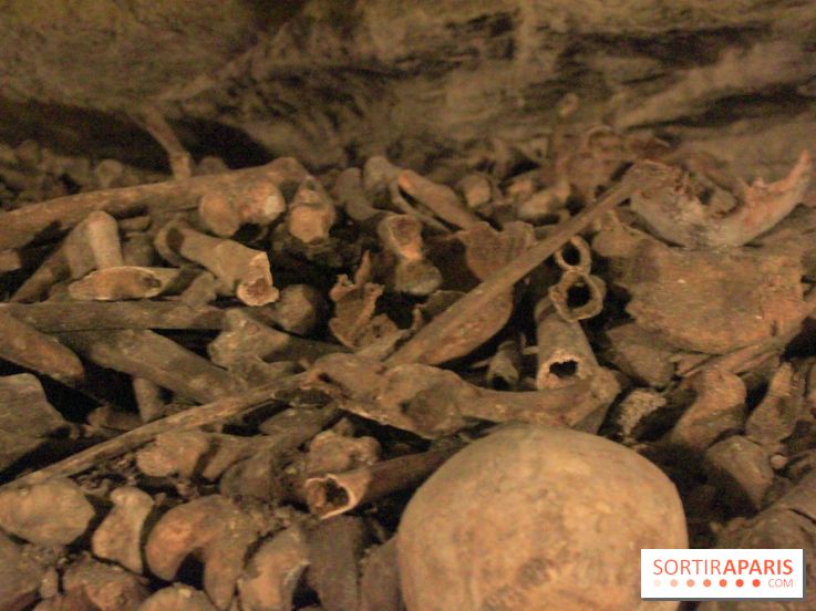Les Catacombes de Paris