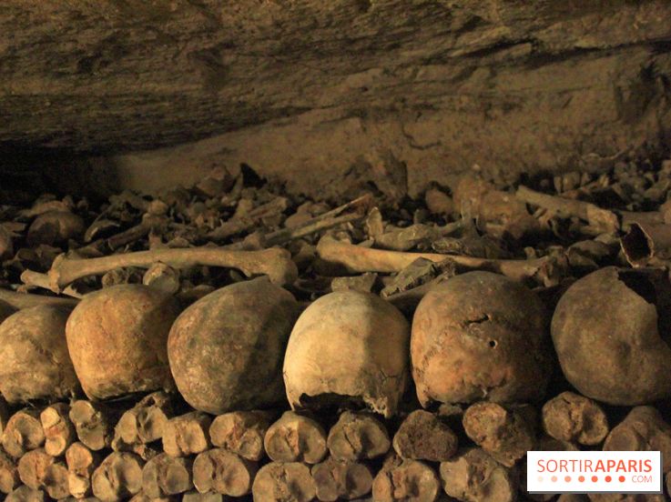 Les Catacombes de Paris