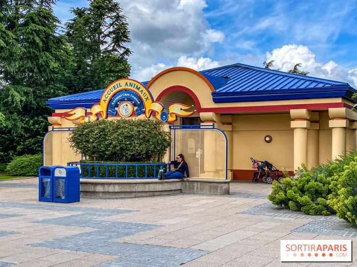 Le saviez-vous ? À Disneyland Paris, vous pouvez faire garder votre chat ou votre chien !