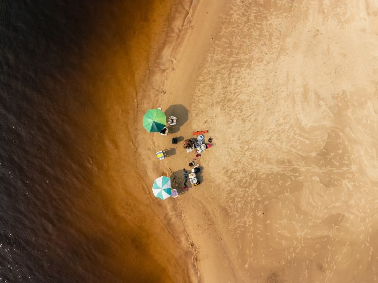 Saison France-Brésil 2025 : ouverture de la Galerie Visit Brasil à l'espace Wilde Le Lieu