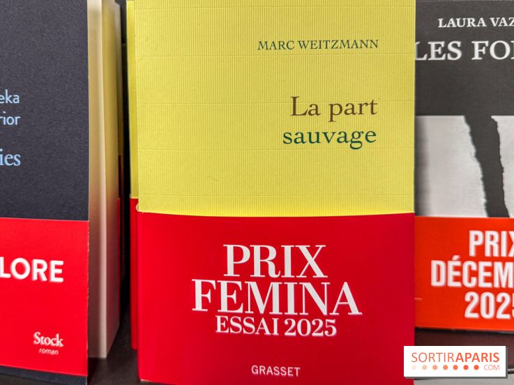 Prix Femina 2025 : Nathacha Appanah récompensée pour La Nuit au cœur