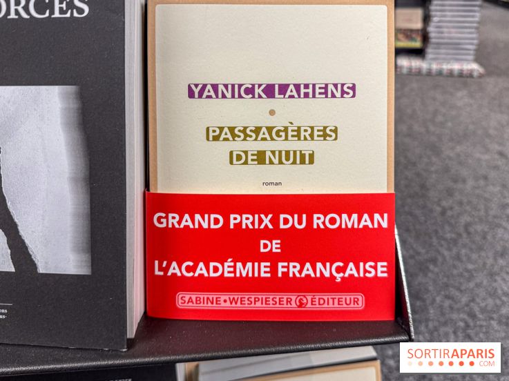 Grand Prix du roman de l’Académie française 2025 : Yanick Lahens récompensée pour Passagères de nuit