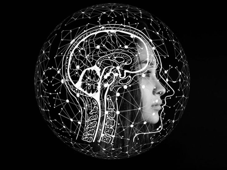 Journées du Patrimoine 2026 Institut Métapsychique International