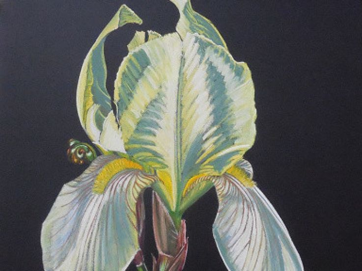 Des iris pour IRIS, l’exposition de Marc Beaulieux à la galerie Popy Arvani