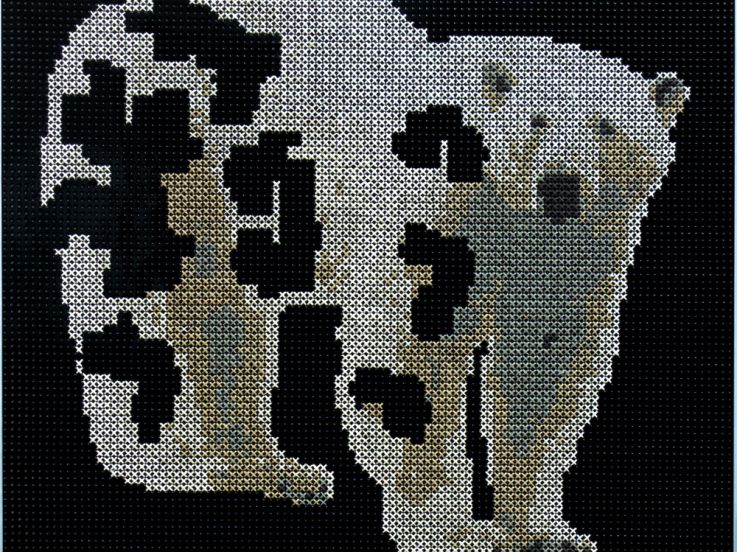 Espèces Menacées, l’exposition à la galerie Accueil de Montreuil