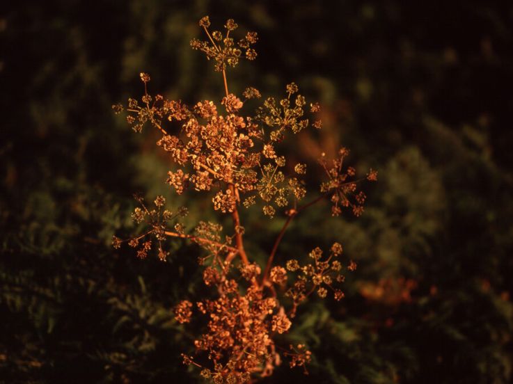 Delacroix et la Boixe, la conférence au Musée Delacroix