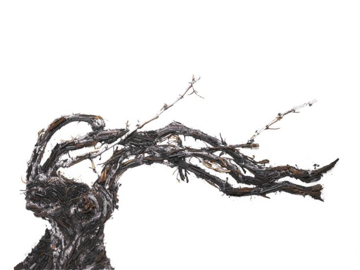 Shared Roots, l'exposition de Vik Muniz au Palais Brongniart