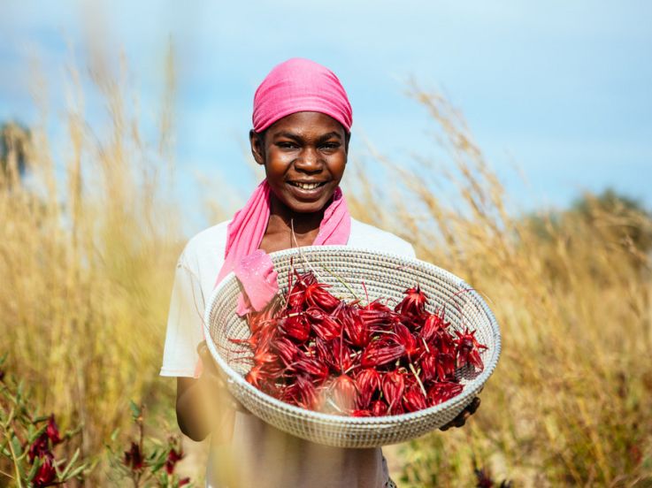 Grandeur Nature, l'exposition photo sur le Toit de la Grande Arche