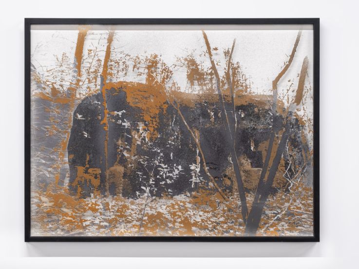 Exposition Le Chiffre Noir au Drawing Lab