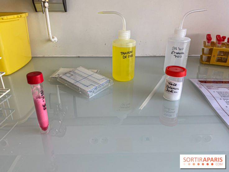 Escape Gènes, l'escape game qui sensibilise à la recherche génétique à l'Institut Imagine