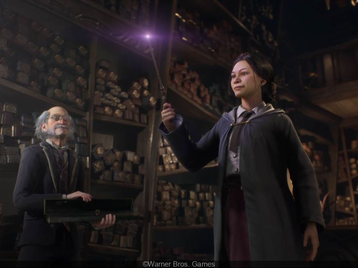 Harry Potter: Quidditch Champions invites fans to be the first to