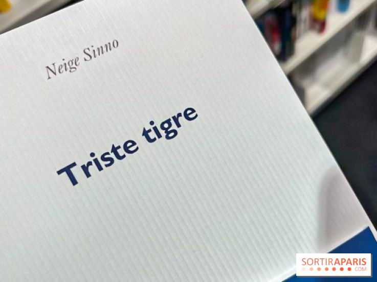 Prix Femina 2023 : "Triste tigre" de Neige Sinno récompensé, un roman qui brise le silence