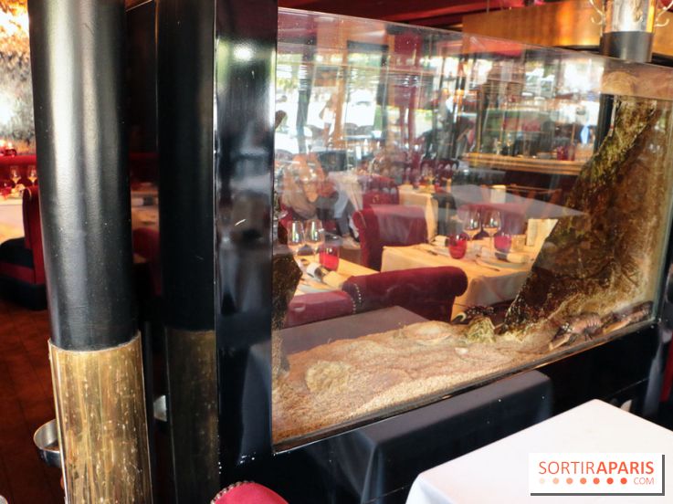 Grand Bistro Breteuil