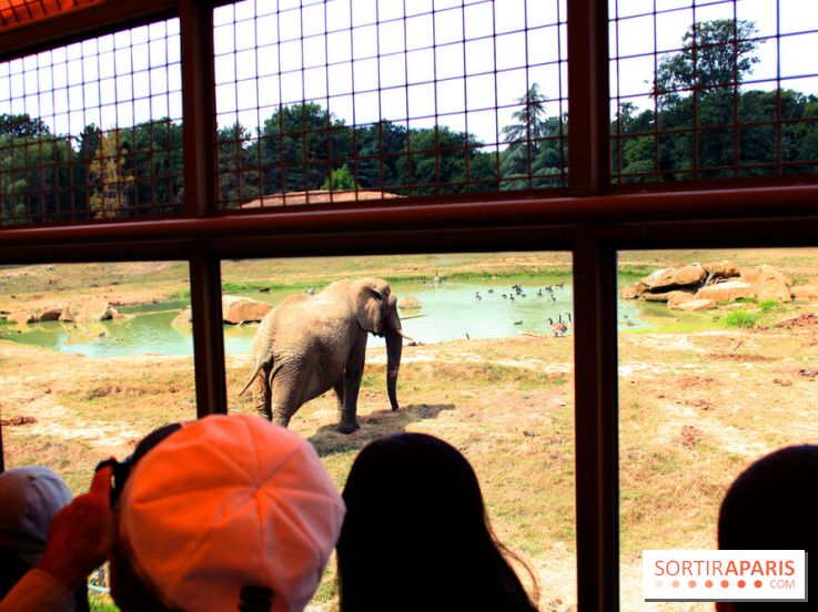 Camion Safari : une visite guidée dans les coulisses de Thoiry